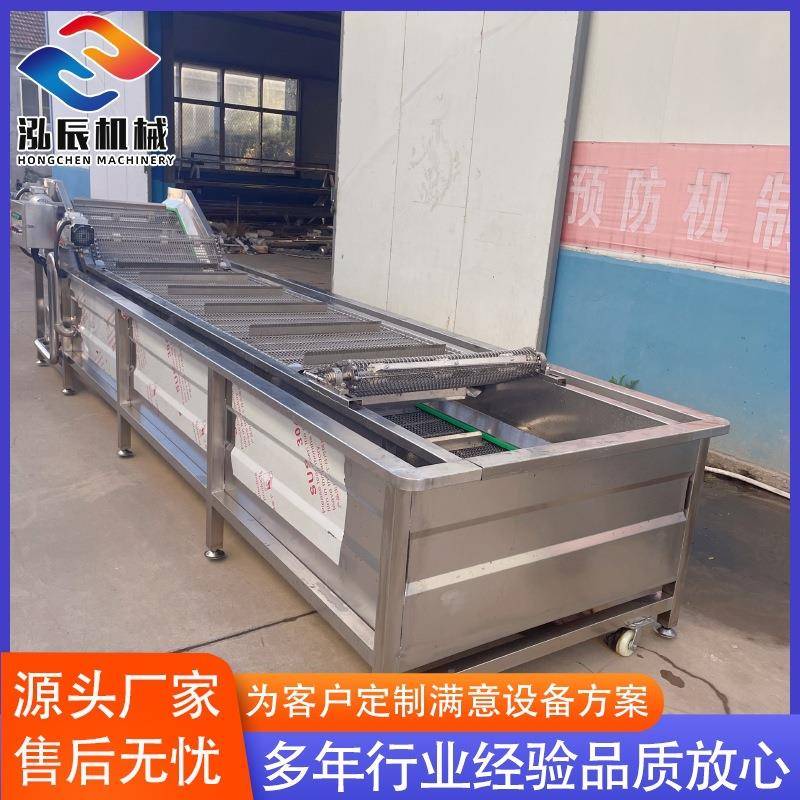 西蓝花木耳菜清洗机全自动无花果清洗机喷淋式牛百叶清洗机