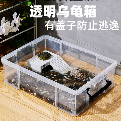 养龟周转箱带盖家用乌龟专用缸水族箱草龟巴西龟黄缘饲养缸发色