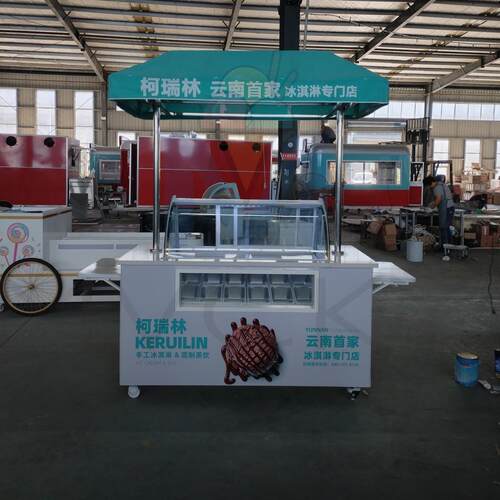 户外餐车景区集市露营小吃三轮车网红节假日果汁美食推车摆摊