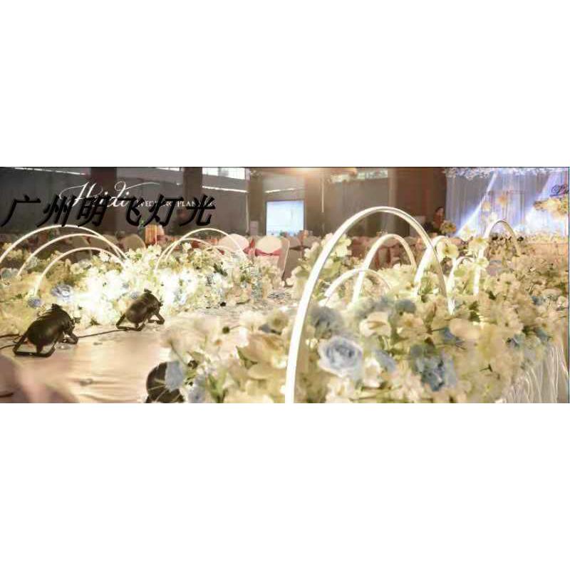 迷你聚光灯100W PAR38筒灯 PAR38面光灯婚庆造景灯 舞蹈室灯