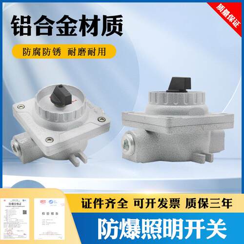 SW-10防爆照明开关16A防水防尘控制开关 220v380v铝合金加厚开关