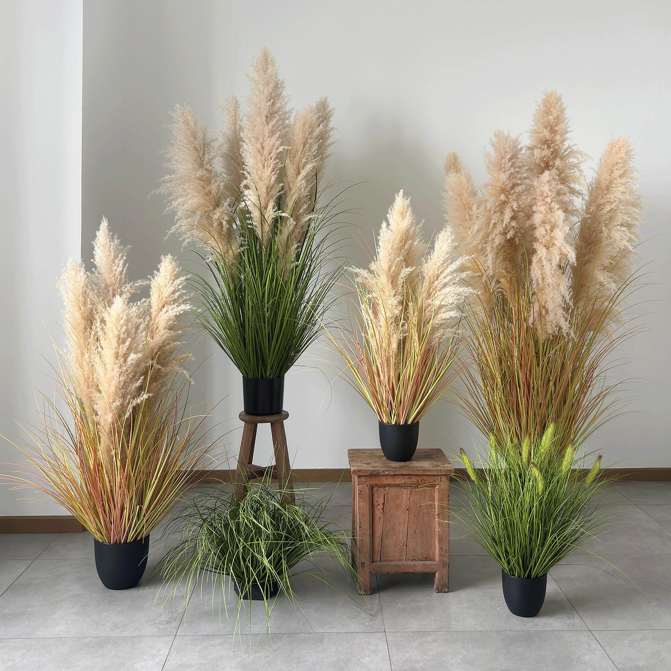 白芦苇头仿真芦苇植物盆栽干花摆件室内橱窗餐厅露营地氛围布置