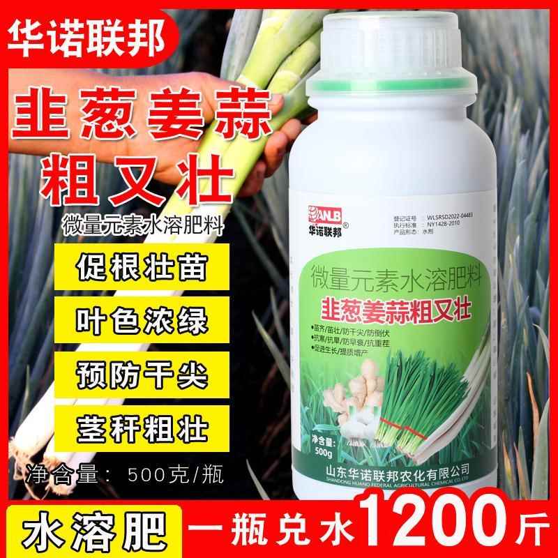 韭葱姜蒜粗又壮韭菜大葱生姜大蒜通用水溶肥生根壮苗叶厚叶绿膨壮