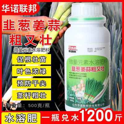 韭葱姜蒜粗又壮韭菜大葱生姜大蒜通用水溶肥生根壮苗叶厚叶绿膨壮