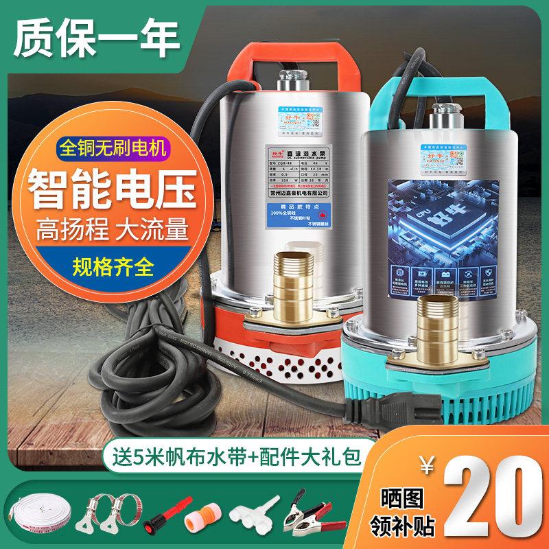 直流潜水泵高扬程农用无刷抽水泵大流量电动车家用手动灌溉抽水机