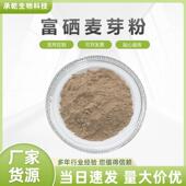 包邮 富硒麦芽粉200ppm 小麦胚芽粉 1KG起 富硒麦芽提取 硒粉