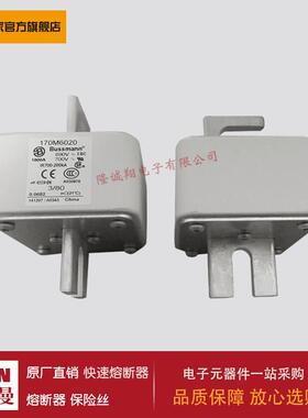 熔断器170M6021170M3058170M3059170M3060170M3061170M3062