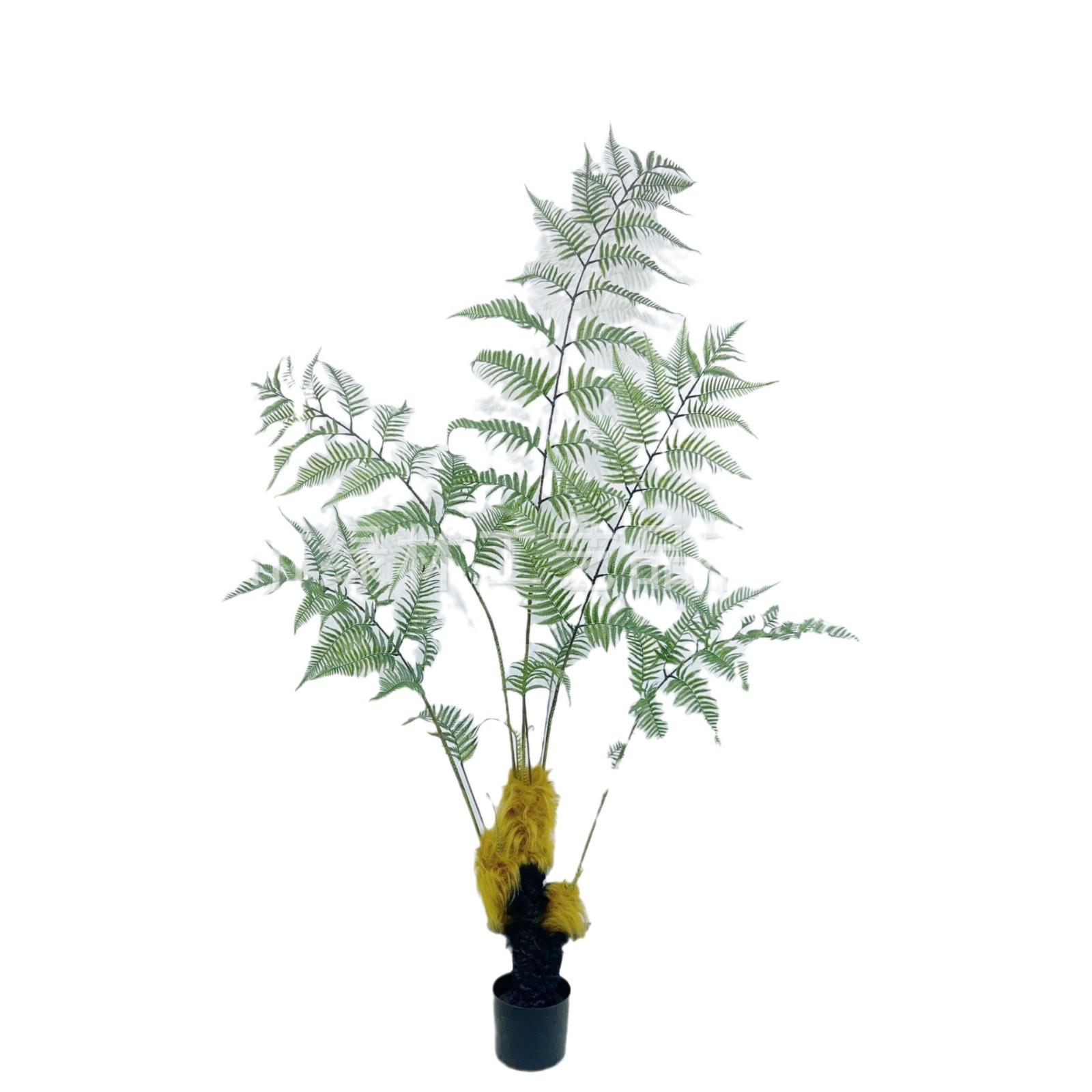 仿真经典猴头蕨树盆景中式简约风格蕨草猴头蕨树苔藓景观搭配仿绿