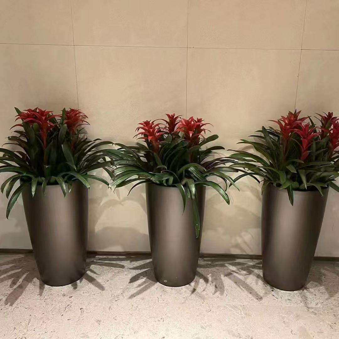 欧式简约现代自吸水懒人花盆高筒圆形室内客厅落地大号水培盆厂家