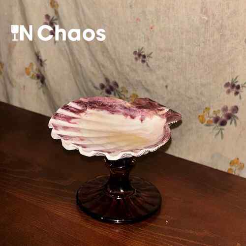 IN Chaos个性小众天然狮爪贝壳首饰托 托盘甜品盘水果盘餐用高脚