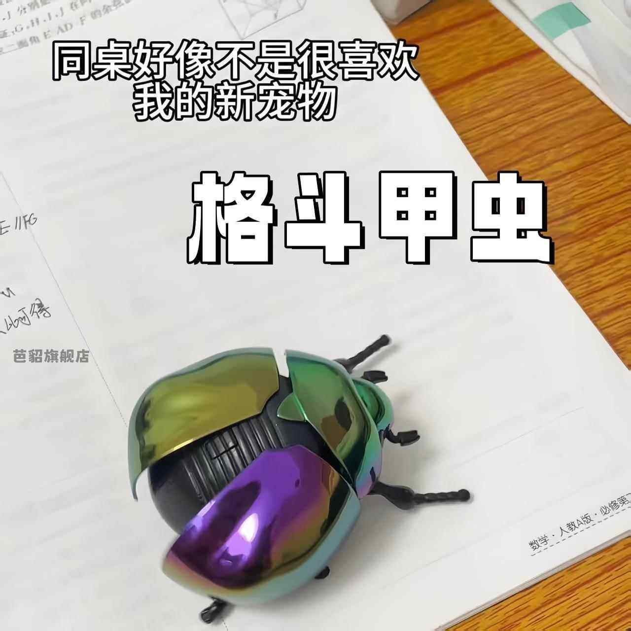 发条甲虫仿真金龟子炫彩格斗甲虫整蛊恶搞上弦昆虫玩具创意独角仙