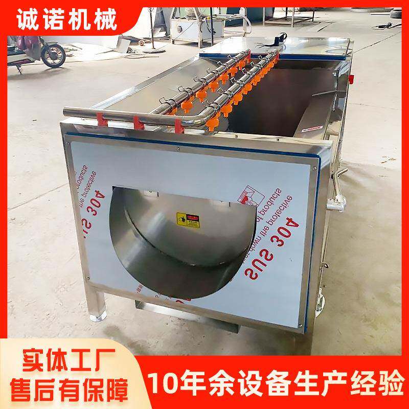 自动化紫薯去皮机生姜毛辊清洗机喷淋毛辊清洗机厂家供应