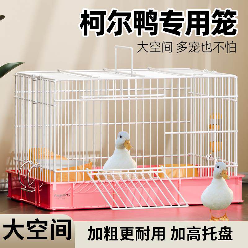 鸭笼柯尔鸭专用笼子养小鸭子的用品家用育雏房室内加大号豪华别墅