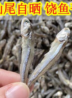 汕尾本港饶鱼干 干 江鱼仔丁香鱼干 干鱼仔小公鱼仔干 干白饭鱼饶