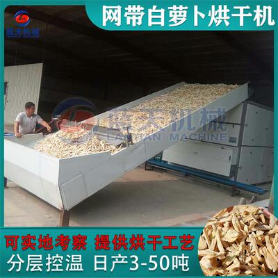网带白萝卜烘干机连续式萝卜清洗切条烘干生产线大型蔬菜干燥机