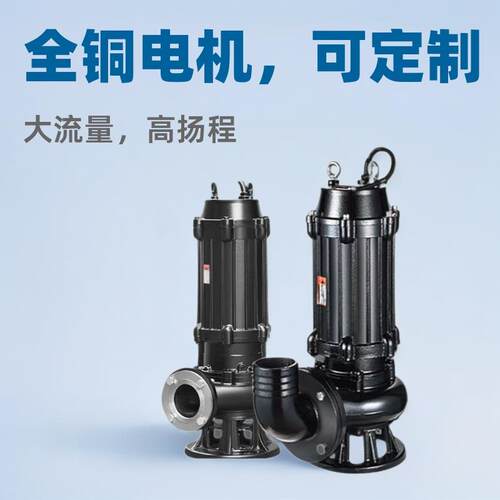 wq潜污泵380V搅匀式潜水泵JYWQ排污泵带耦合提升泵高扬程污水泵