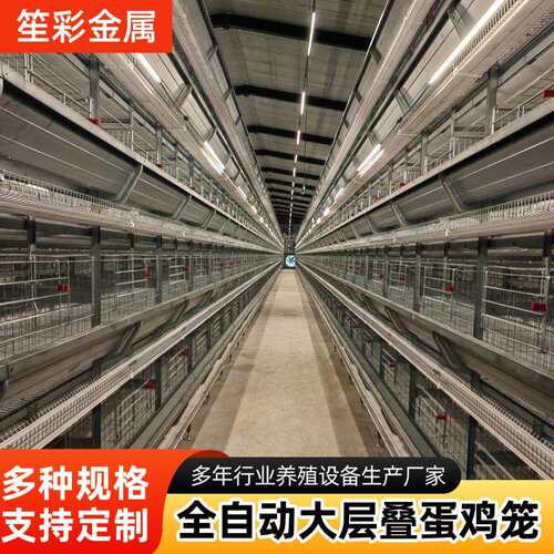 全自动化养殖设备大层叠立式蛋鸡笼自动喂料自动清粪鸡舍养鸡笼子