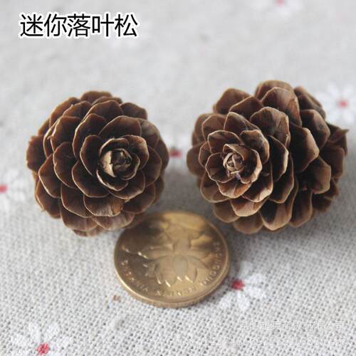 【落叶松】 迷你松果圣诞松花环小果实