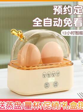 迷你煮蛋器2024新款可预约定时一个人蒸蛋器自动断电家用小型智能