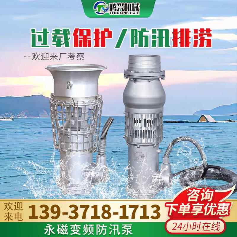 永磁防汛泵抗洪抢险排水泵大流量高扬程排涝泵变频轻便潜水轴流泵