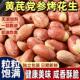 黄芪党参烤花生官方旗舰店2025年新货脱油五香花生米下酒菜炒货