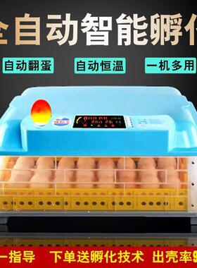 《蛋厂家直》销机小型孵化全自动家AMW用型孵化器鸡孵化设备孵化