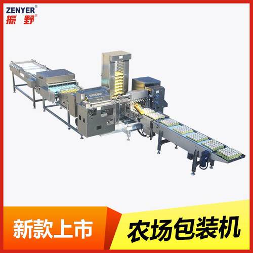 振野ZYZ-HD6新款农场包装机全自动鸡蛋装托盘机器精选厂家直销