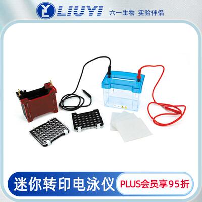 北京迷你转印电泳仪DYCZ-40D适用WB实验DYCZ-24DN配套使用