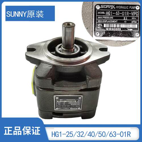 东华力劲佳明伊之密注塑机用伺服油泵HG163 CP1-50 63海特克SUNNY