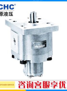 合肥长源CBQW-F520/E204CLP双联齿轮油泵