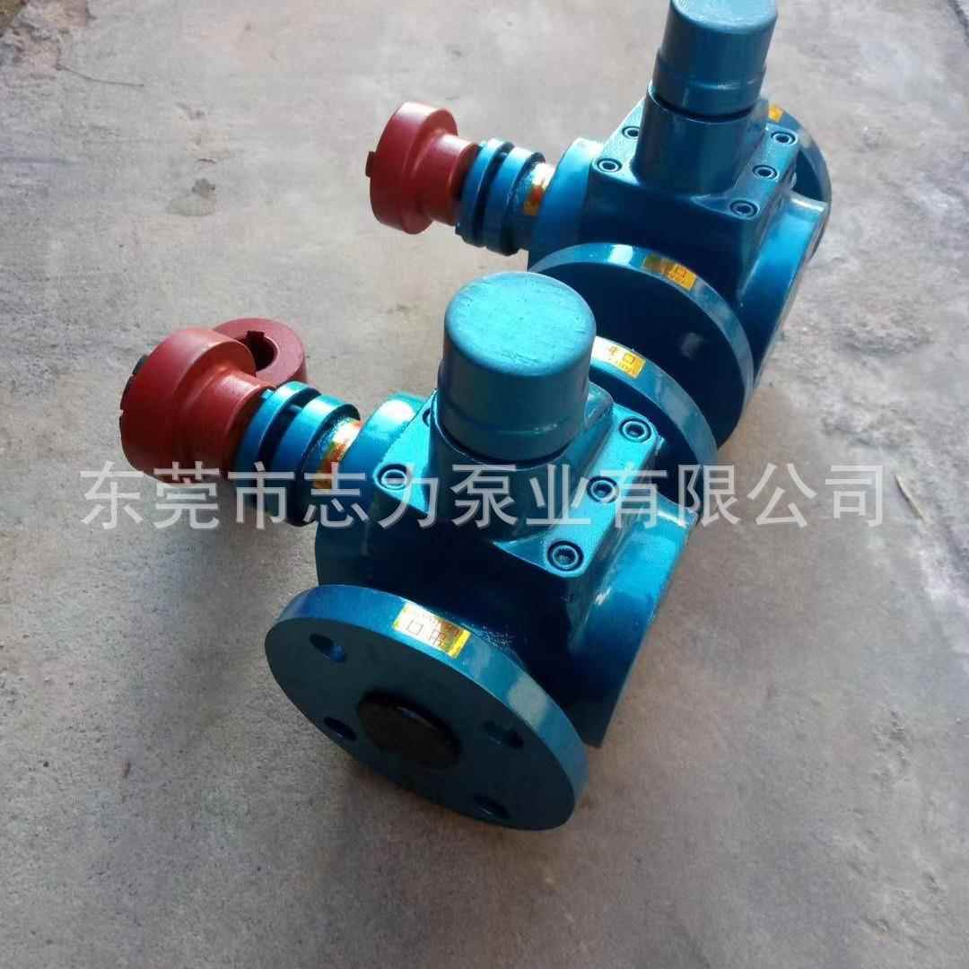 圆弧齿轮泵YCB1.6/0.6抽油泵柴油泵增压润滑泵齿轮油泵