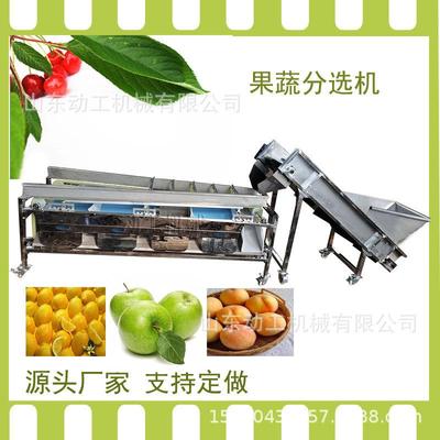 LXW用黄金百香果分选机商 轨式橙道子式柑橘分选机 滚筒沃柑分级