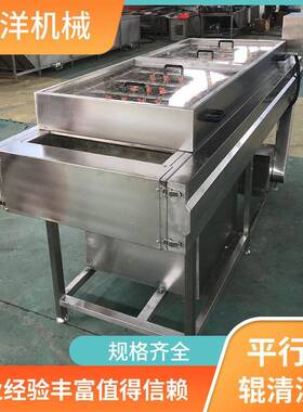 全自动生姜萝卜毛辊清洗机海蛎子去泥平行式清洗设备橙子抛光机