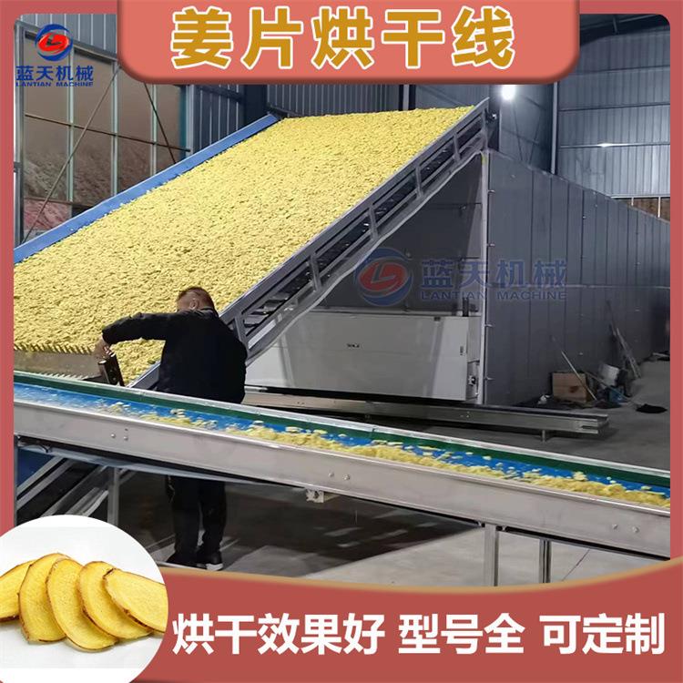 网带生姜清洗切片漂烫烘干设备 连续式小黄鲜姜干姜片干燥生产线