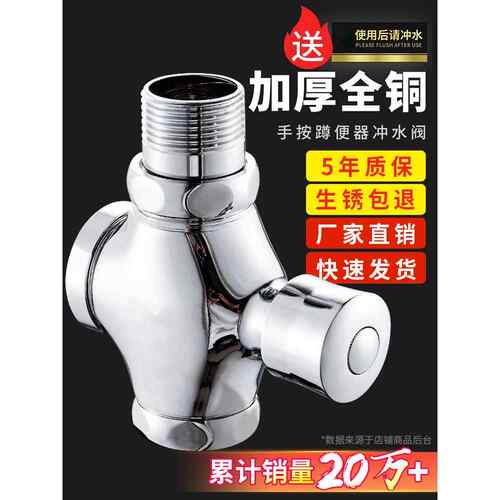 黄铜延时手动冲水阀蹲式马桶冲水阀马桶阀自关闭冲水阀开关
