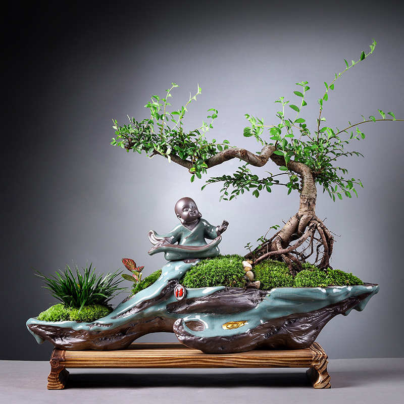 小叶榆树悬崖式老桩怪桩树桩造型盆景室内家居大植物艺术盆栽送礼
