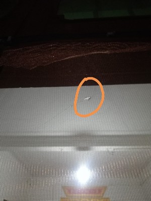 求助真相诚竹门帘怎么样，良心评测