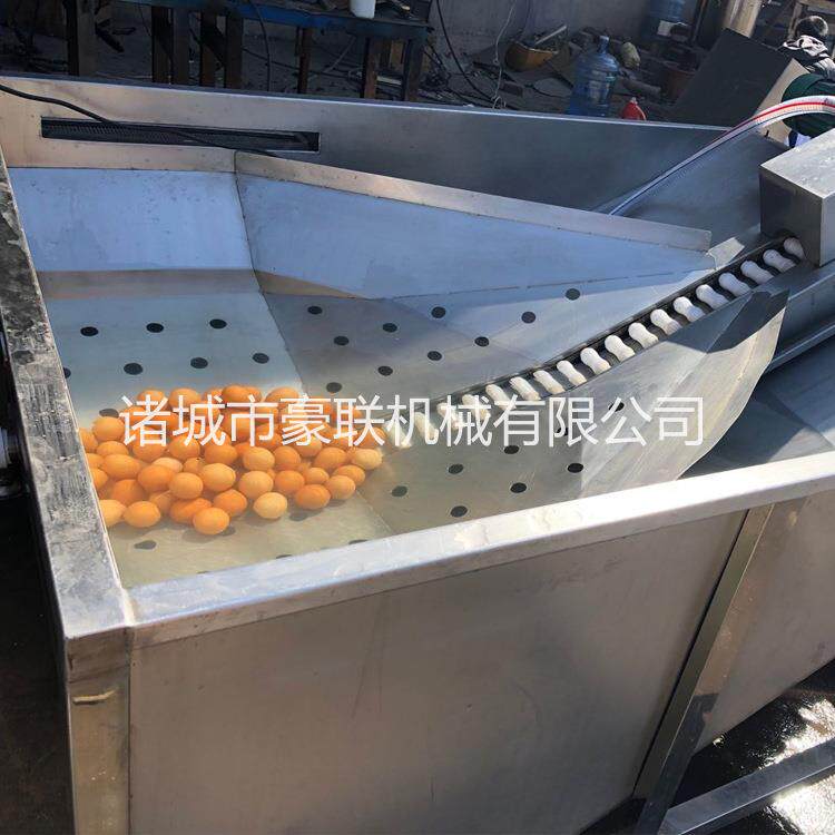 鸡蛋清洗机 鸭蛋泥蛋清洗机 全自动洗蛋机 蛋品清洗加工流水线