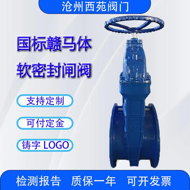DN500暗杆铸铁手轮大体软密封闸阀水利适用人气支持铸字