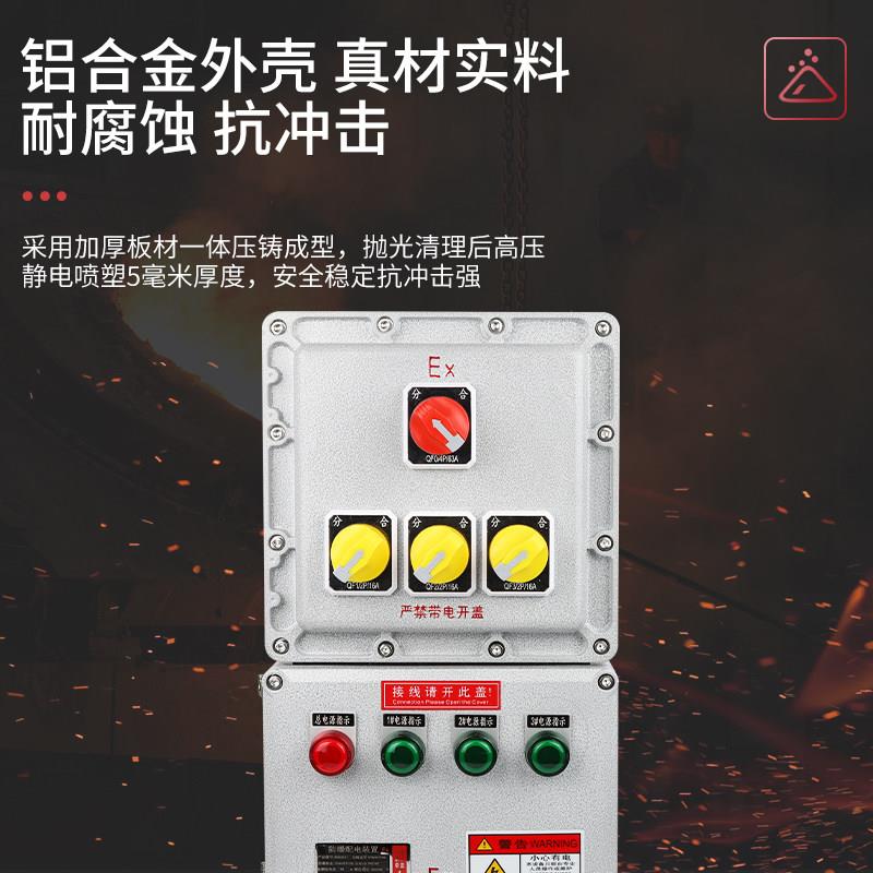 防爆照明配电箱风机水泵控制箱开关电源巡检螺栓配电柜