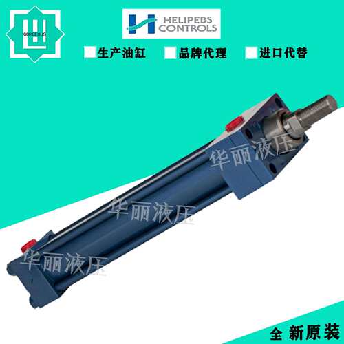 德国HYDORING赫尔纳油缸 液压缸 HD6025 PKP 50/36-100-A+B-23920