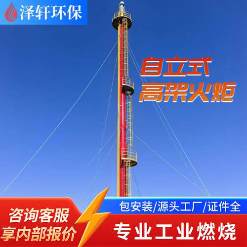 橡胶塑胶废气架火炬 橡塑 VOCs 燃烧 工业尾气安全放散火炬系统
