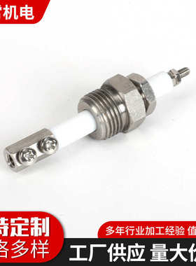 水位计水位锅炉 耐压4电极m18电极m16不锈钢分耐温