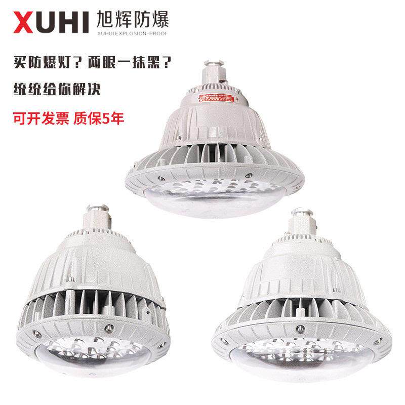 XHD530防爆LED灯50W100W150W防爆灯化工车间防爆照明吊灯