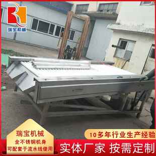 蒜米除水擦干生产线海绵辊蒜米擦干机大蒜清洗擦干生产线