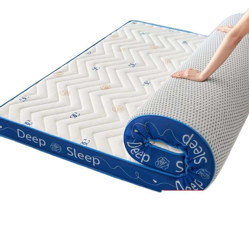 乳胶床垫家用记忆棉双人夏季凉感丝床褥学生宿舍单人榻榻米海绵垫