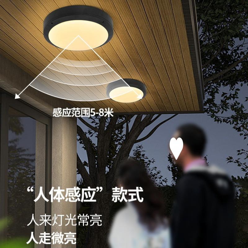 室外吸顶灯潮防阳台形灯防防虫过道灯户外圆IBX走廊大门灯l水ed