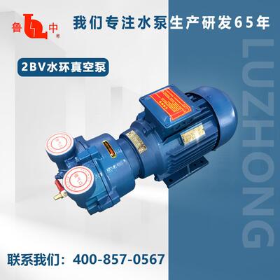 2BV2060真空泵品质保障质保一年认准鲁中牌厂家供应品质保障