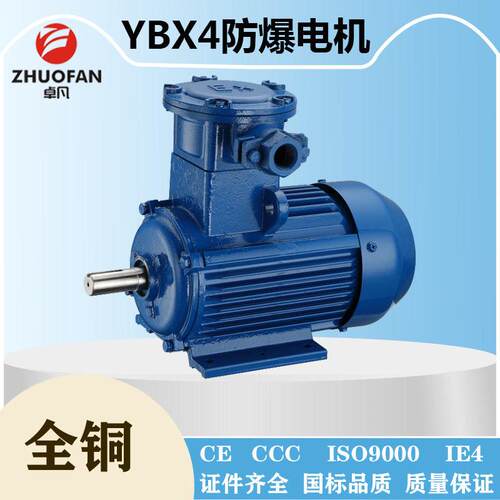 效YE4三相防爆电机YBX3隔爆马达CT4/BT4粉尘防爆