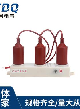 过电压保护器TBP-12.7F /131三相组合式过电压保护器